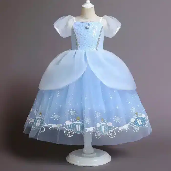 Cinderella Princess Costume