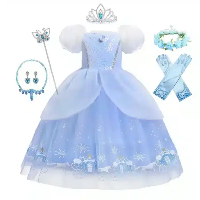 Cinderella Princess Costume