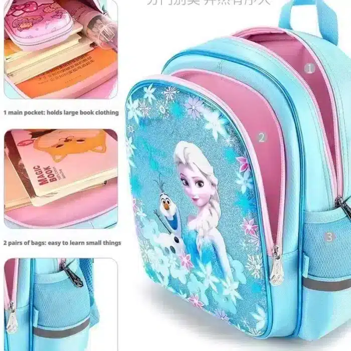 Frozen Backpack for School