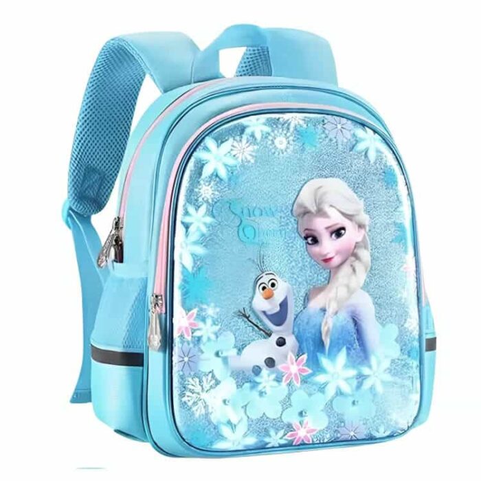 Frozen Backpack for School