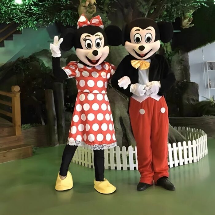 Costume of Minnie Mouse for Adults