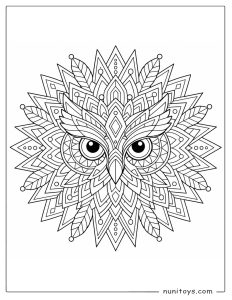 Owl Face Geometric Mandala Coloring Sheet