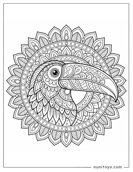 Toucan Head Mandala Coloring Page with Large Beak