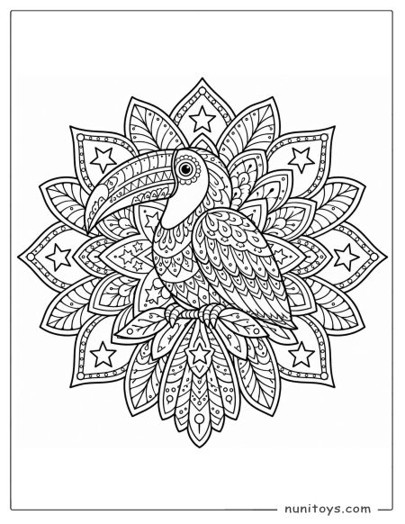 Toucan Mandala Coloring Page with Stars and Leaves