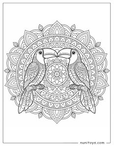 Two Toucans in a Tropical Mandala Coloring Page