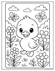 דף צביעה של ברווזון חמוד בין פרחים ופרפרים בטבע