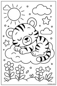 Sleeping Tiger Curled on a Cloud Under the Sun