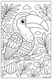 Close-Up Toucan: Intricate Feather Patterns and Curved Beak Coloring Page