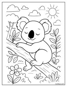 קואלה חמוד ישן על ענף דף צביעה לילדים