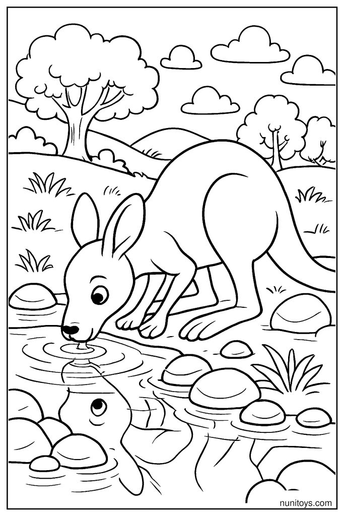 Detailed Kangaroo Drinking Water by the River with Reflections