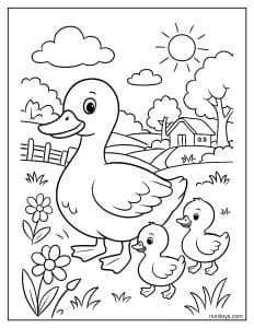 דף צביעה של משפחת ברווזים חמודה מטיילת בשדה כפרי בין פרחים