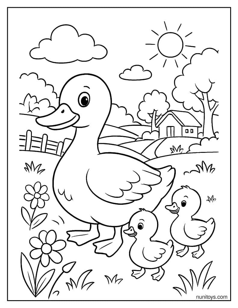 דף צביעה של משפחת ברווזים חמודה מטיילת בשדה כפרי בין פרחים