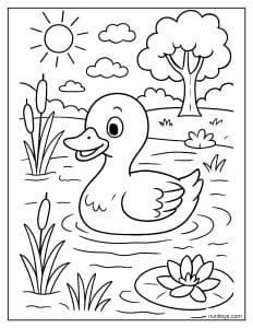 דף צביעה של ברווז שוחה באגם טבעי בין קני סוף ונופר