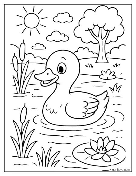 דף צביעה של ברווז שוחה באגם טבעי בין קני סוף ונופר