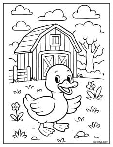 דף צביעה של ברווז חמוד ליד אסם בכפר בין פרחים ועצים