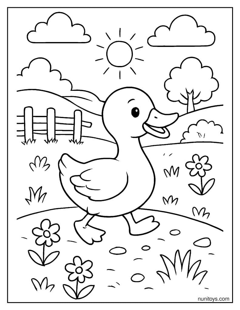 דף צביעה של ברווז הולך בשדה כפרי בין פרחים וגדר