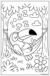 Funny Toucan Sleeping in a Hammock Coloring Page