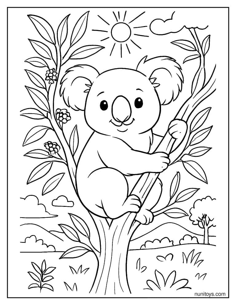 Coloriage koala perché dans un eucalyptus sous le soleil