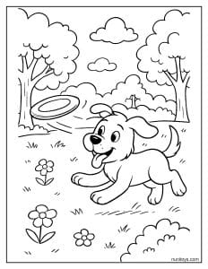 דף צביעה של כלב רץ אחרי פריזבי בגינה