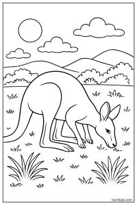 Realistic Kangaroo Grazing calmly in an open field coloring page