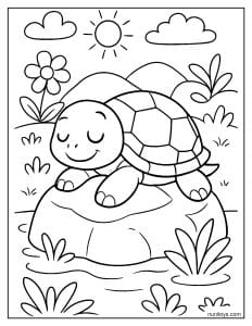 דף צביעה של צב קטן נח על סלע בטבע