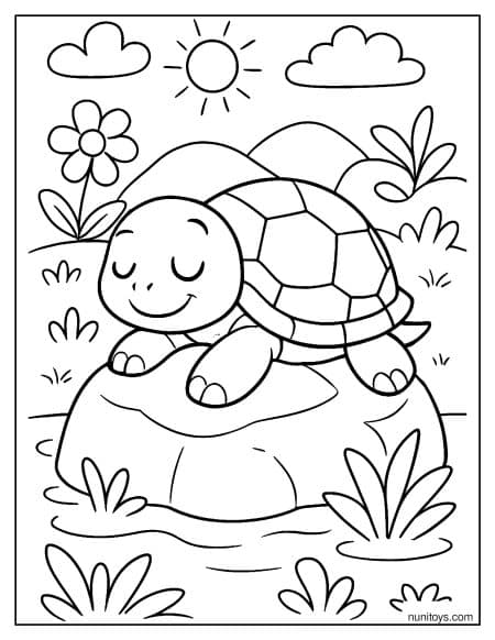 דף צביעה של צב קטן נח על סלע בטבע