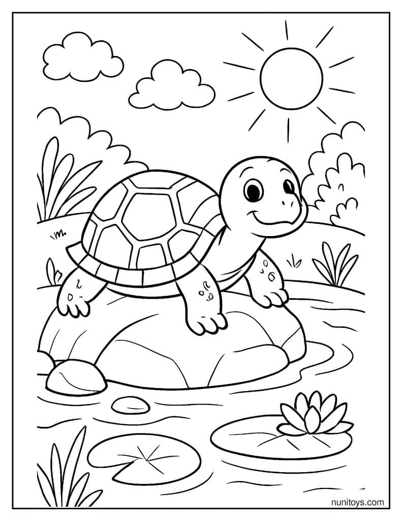 דף צביעה של צב משתזף על סלע ליד בריכה