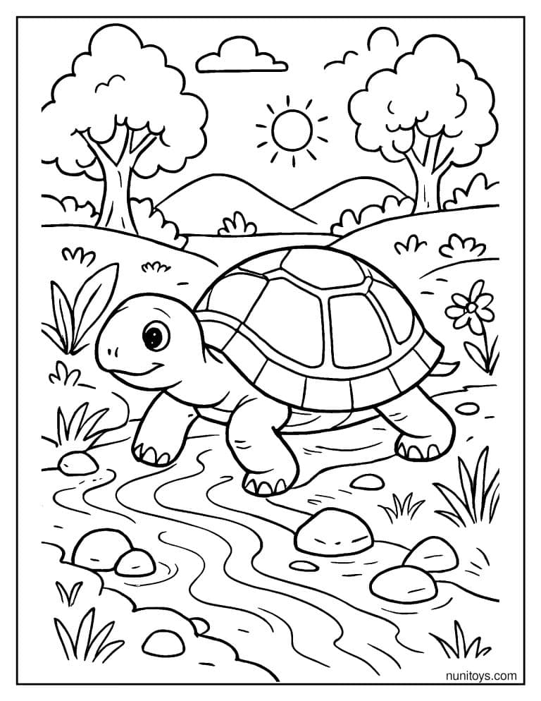 Coloriage d’une tortue traversant un ruisseau ensoleillé