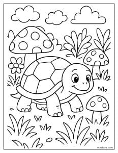 דף צביעה של צב מטייל בין פטריות בגינה