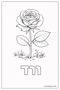 דף צביעה של האות ו עם ורד
