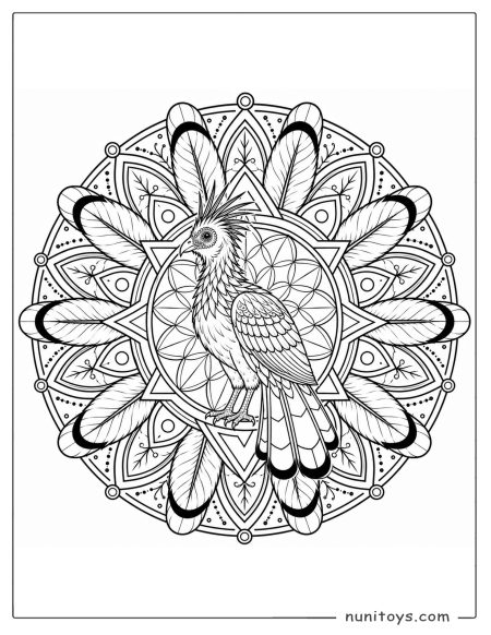 Hoatzin Standing Against Feather Circle Mandala Coloring Page