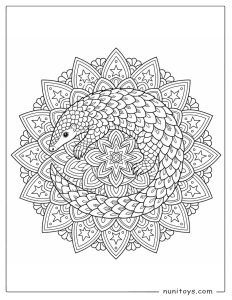 Pangolin Coloring Illustration Curled Around Flower Mandala
