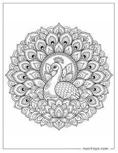Peacock Coloring Illustration with Full Feather Mandala
