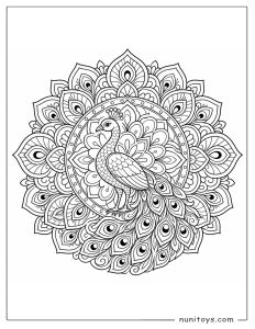 Peacock Coloring Sheet with Flowing Tail Mandala