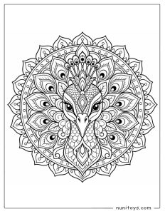 Peacock Mandala Coloring Sheet with Feather Patterns
