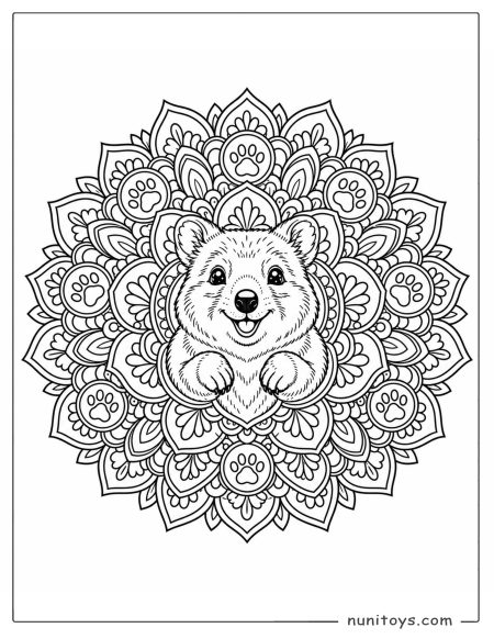 Quokka Mandala Coloring Page with Paw Print Patterns
