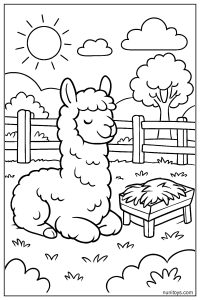 דף צביעה אלפקה יושבת ליד ערימת חציר בחווה