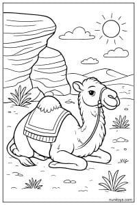 Camel Coloring Page Resting Near Rocks