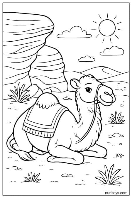 Camel Coloring Page Resting Near Rocks