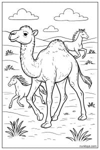 Printable Camel Walking with Horses Across Open Land