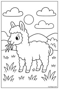 דף צביעה אלפקה אוכלת עשב בשדה פתוח עם הרים