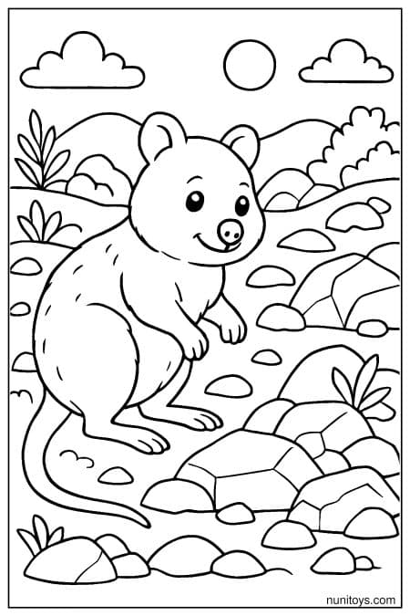 Quokka rests near rocks in open nature landscape Coloring Page