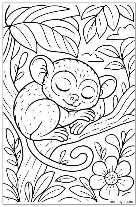 Sleeping Tarsier Resting on Branch in Jungle Coloring Page