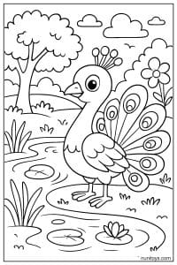 דף צביעה טווס עומד ליד נחל עם עלי נופר ופרחים