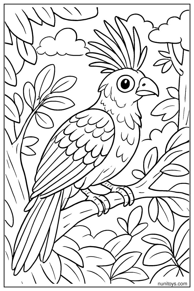 דף צביעה ציפור הואצין יושבת על ענף בין עלים