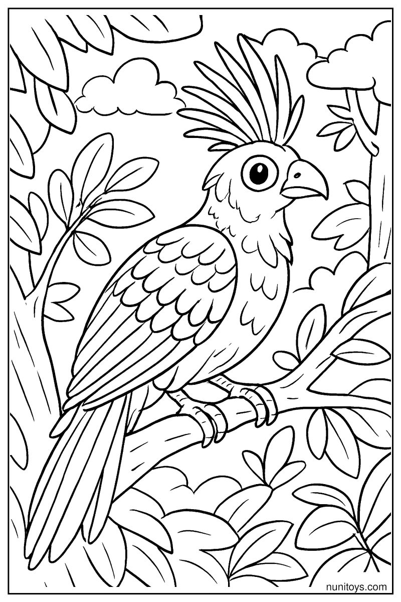 דף צביעה ציפור הואצין יושבת על ענף בין עלים