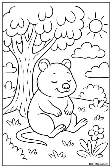 Peaceful quokka rests under tree in quiet nature Coloring Page