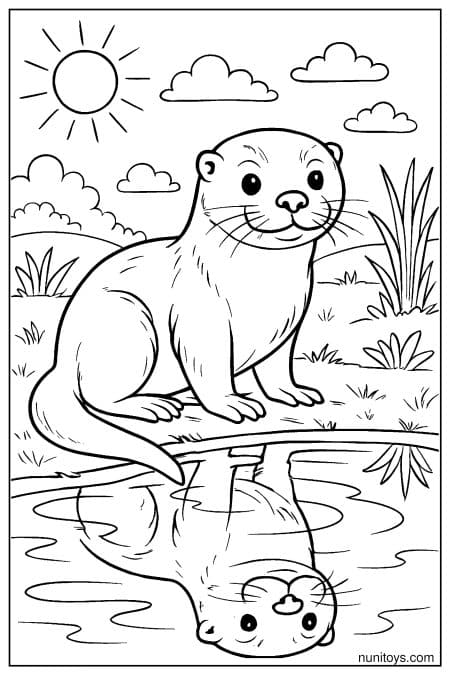 Otter sits on branch above water with reflection below Coloring Page