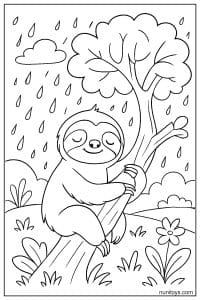 דף צביעה של עצלן מחבק ענף עץ בגשם