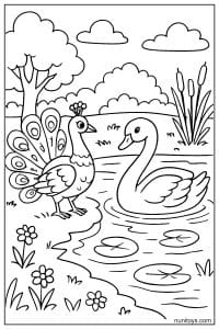 דף צביעה טווס עומד ליד ברבור במים עם עלי נופר